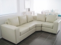 Living modular ecocuero